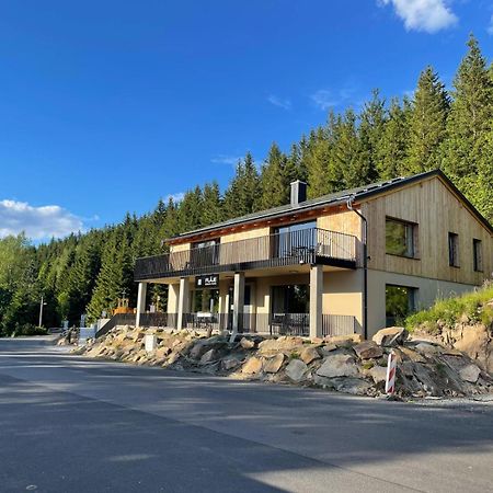 Flaje Apartmany Český Jiřetín Esterno foto